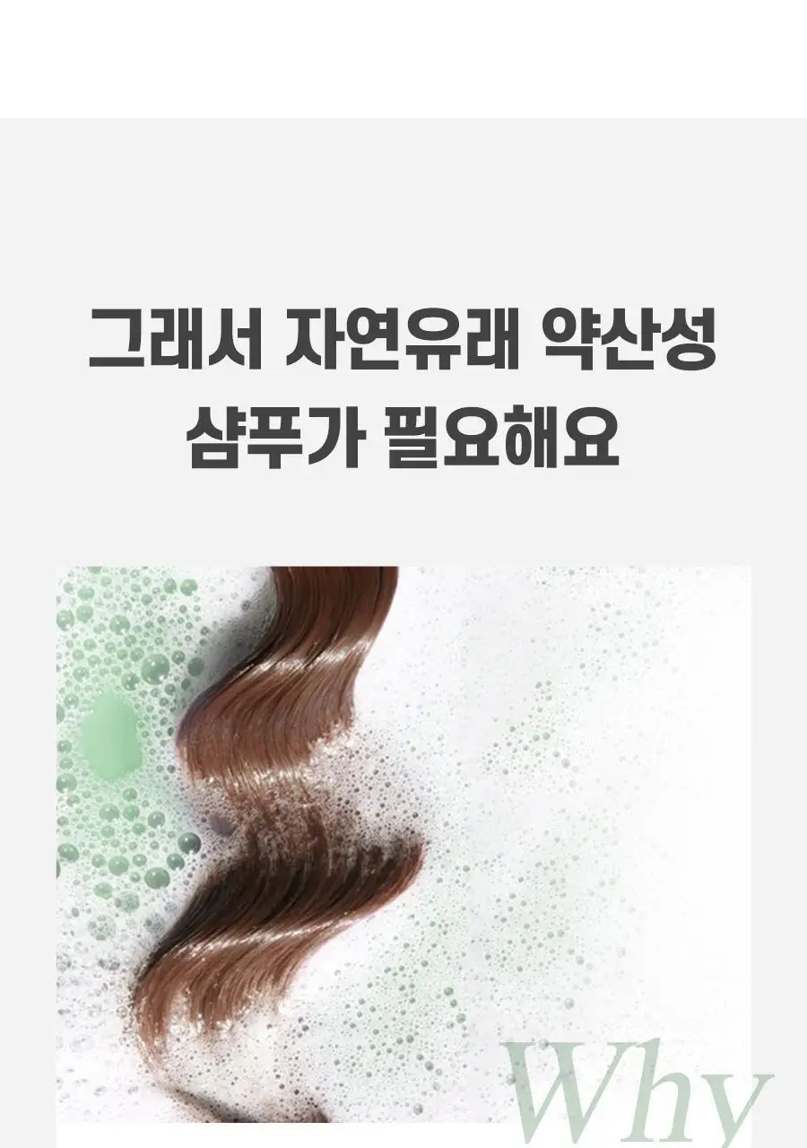[트리트먼트 10매 증정] 스칼프 클렌징 샴푸 프레쉬 민트 1,000ml 상세페이지 6